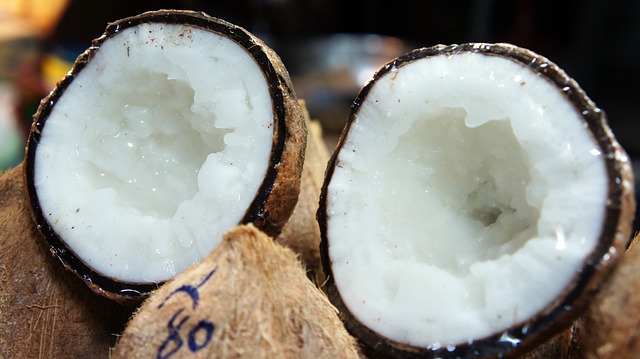 Plod kokosu